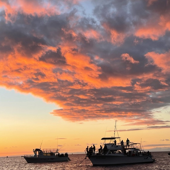 I ❤ Offers! - Picture 10 of 11